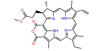 Purpurin 18 methyl ester